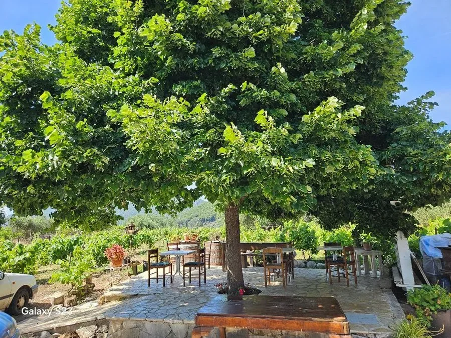 south corfu tradition journey 8